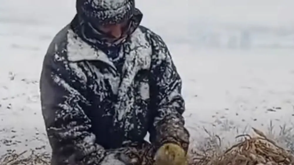 TRabajador ajo nieve